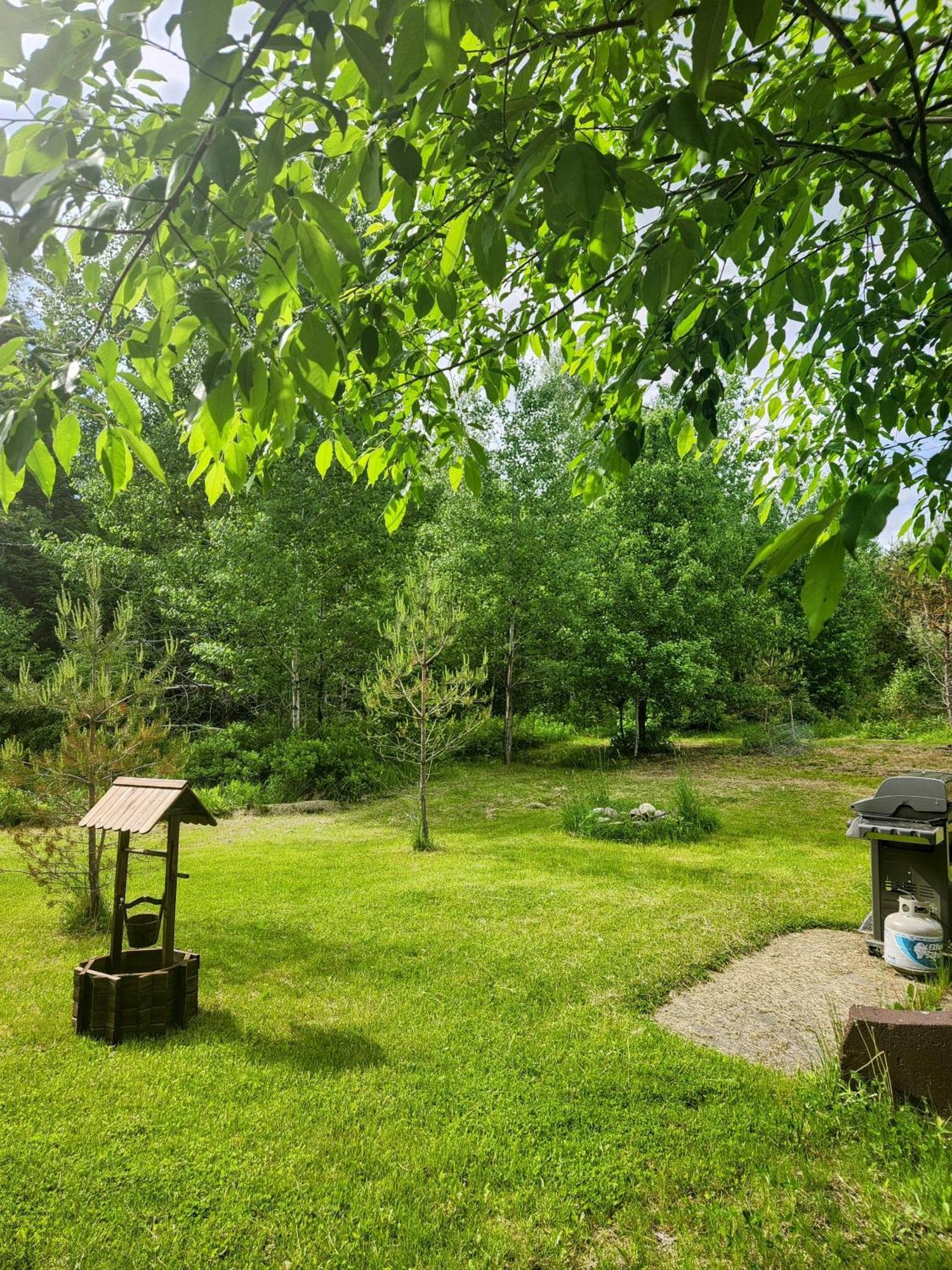 リンカーン Backyard Bliss In The White Mountainsヴィラ エクステリア 写真